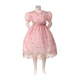 Girl Dress - Rose Organza Dress with Embroidery (2T - 12)