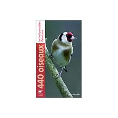 440 Oiseaux