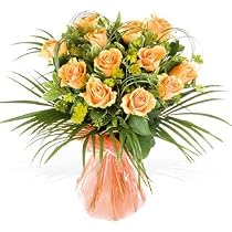 Twelve long stemmed Orange Roses - Send Red Bouquet of Fresh Flowers to The One You Love