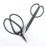 2pc Bonsai Shear Set - 3 year guarantee
