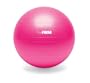 The Firm Stability Ball 55cm
