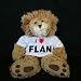 Plush Stuffed Lion (Sighin' Lion) toy with I Love Flan t-shirt
