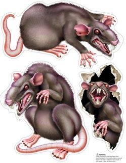 Scary Rats Glass Magnets