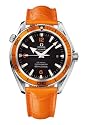 Omega Men's Automatic Planet Ocean Automatic Chronometer Watch #2909.50.48