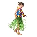 Child Hula Outfit Set Includes: Skirt, (Bikini Top, Wristlets/Anklets, Lei) Party Accessory  (1 count) (1/Pkg)