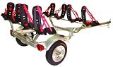 Malone MicroSport Trailer Four Kayak Transport Package with 4 Malone AutoLoader XV Kayak Carriers
