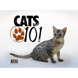Cats 101 Season 4