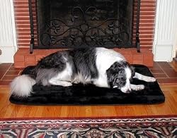 Precision Pet Medium/Large SnooZZy Sleeper Bed, Black