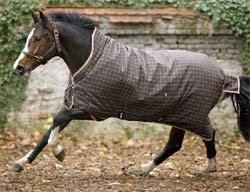 Rhino Wug Medium Turnout Blanket