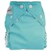 Fuzzi bunz~One-Size Cloth Diaper Aqua