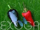 Eigenschaften Exoga  / Black Hungarian Capsicum annuum Chilisamen