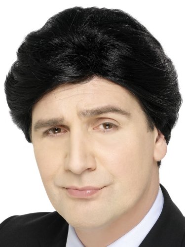NEW MENS SHORT BLACK WIG WITH PARTING