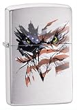 Brushed Chrome, Patriotic Vision