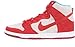 Nike NIKE DUNK HIGH PRO SB Mens Sneakers 305050-661