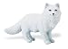 Safari: Arctic Fox