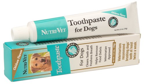Nutri-Vet 87874 Enzymatic Chicken Flavored Canine Toothpaste, 2.5 Ounce