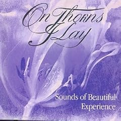 Sounds Of Beautiful Exp�rience (1995)