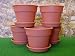 Kitchen & Housewares : Pot: 6 in Dura Cotta with Saucer 10 pk