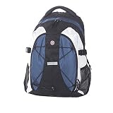 Swiss Gear Altenberg Daypack