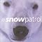 Snow Patrol Picture 15