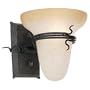 Sea Gull Lighting 4111-185 Single-Light Saranac Lake Wall and Bath Sconce, Forged Iron Finish with Ember Glow Glass Shade
