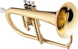 Flugelhorn Accessories