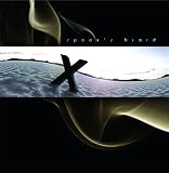 X [VINYL]