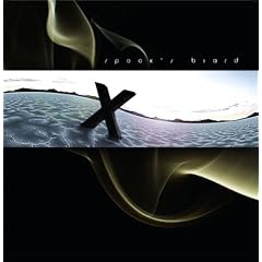 X [Vinyl LP]