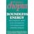 Boundless Energy: The Complete Mind-body Programme for Overcoming Chronic Fatigue