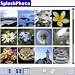 Software : SplashPhoto - Italiano downloadable Software