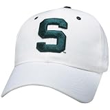 Zephyr Michigan St. Spartans DH Fitted Hat
