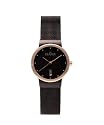 Skagen Damenarmbanduhr Slimline Stahl 355SDDR