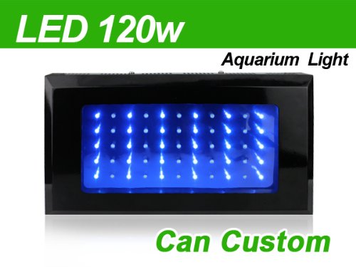 TaoTronics TT-AL02 Black Aquarium Coral Reef Tank LED Grow Light (120W Output, Blue/White Ratio- 30:25; Two-Year Warranty)