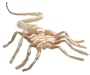 Alien Life-Sized Facehugger Plush