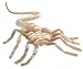 Alien Facehugger Plush