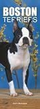 Boston Terriers 2007 Slimline Calendar
