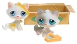 Littlest Pet Shop Pet Pairs Figures 2 Kittens in Box
