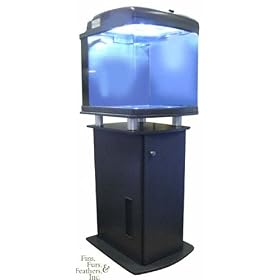 JBJ 28 Gallon Nano Cube HQI Aquarium with FREE Stand (MTS-60)