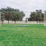 Carry Goal (EA)