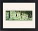Framed Prints of Deciduous woodland with ramsons (wild garlic) Winterbourne Abbas, Dorchester, from Robert Harding