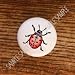 BUGS INSECTS #154267 LADYBUG DRAWER PULLS KNOBS