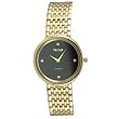 Trump Men's TR1012BKGB Gold-Tone Analog Dress Watch with Deep Black Diamond Accentuated Round Dial