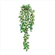 Everlasting Ivy Wall Decor