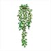 Everlasting Ivy Wall Decor - Style 39680