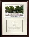 South Florida USF Bulls Mahogany Diploma Frame & Lithograph