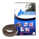 Détails sur le produit