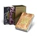 His Dark Materials Trade Paper Boxed Set (Golden Compass, Subtle Knife, Amber Spyglass)