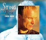 Music : Desert Rose