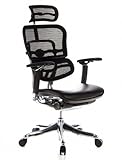 HJH Office/Buerostuhl24 652640 Bürostuhl / Chefsessel ERGOHUMAN PLUS Sitz Leder / Rücken Netz schwarz