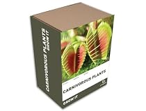 Grow It - Carnivorous Plants Gift Set